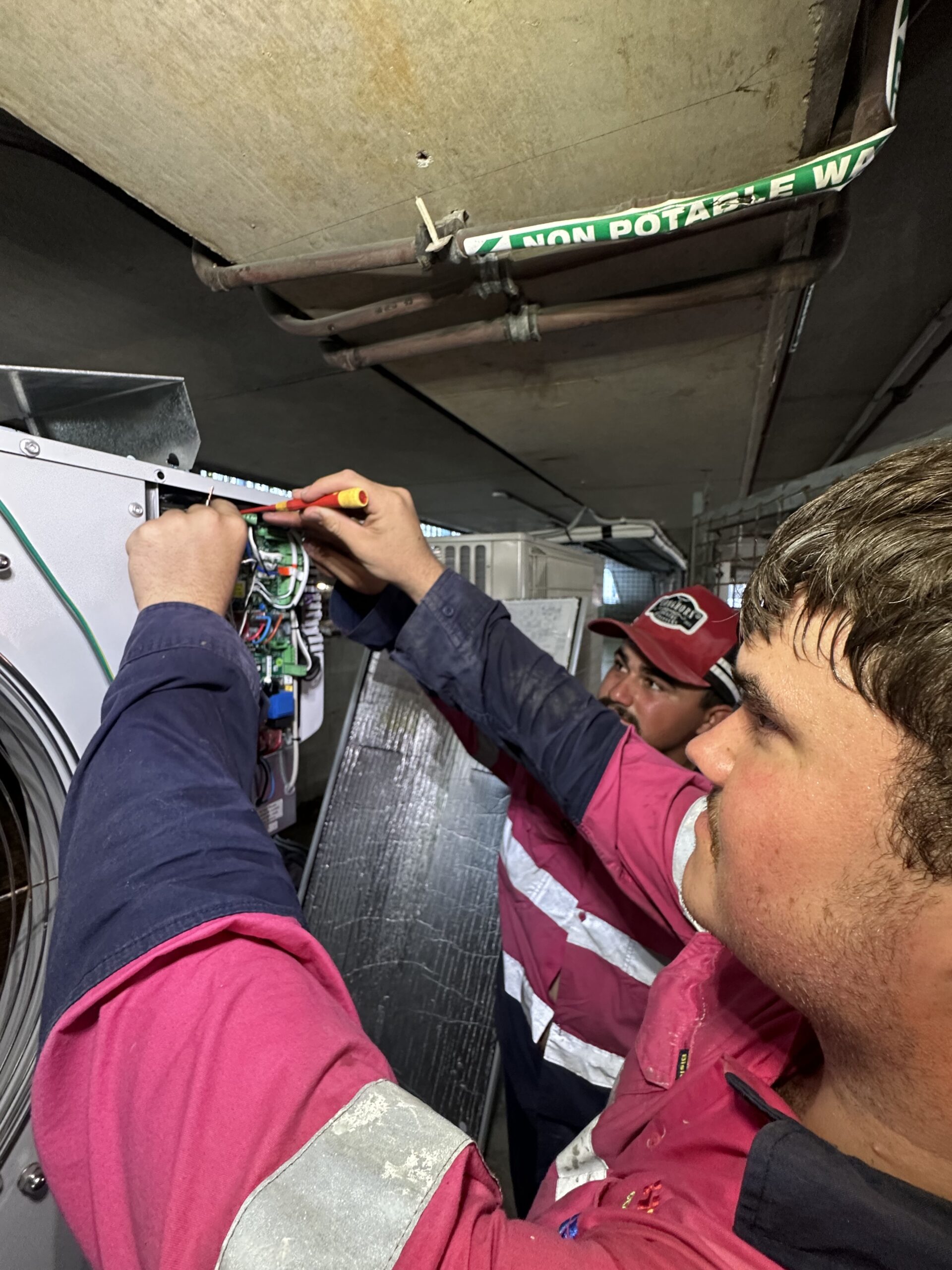 Newsletter – January 2026